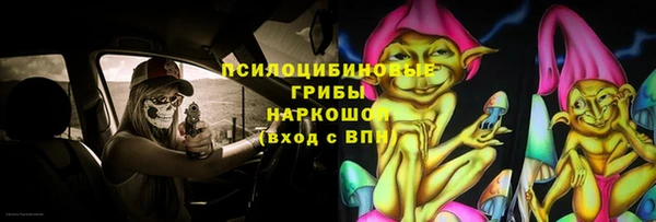 прущие грибы Гусев