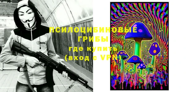 прущие грибы Гусев