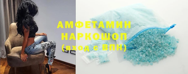 прущие грибы Гусев