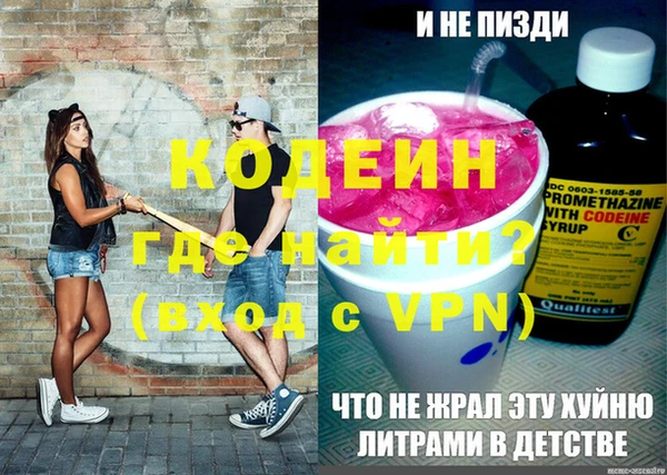 прущие грибы Гусев