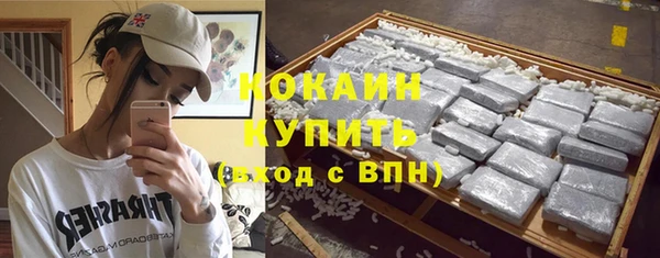 прущие грибы Гусев
